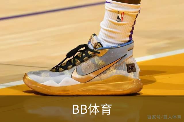 BB体育平台环境